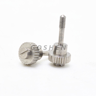 Stainless Steel slotted Positioner screw 