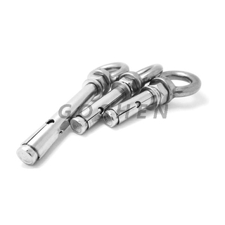 Stainless Steel 304 M10 M12 Expansion Anchor Bolt with Eye Nut